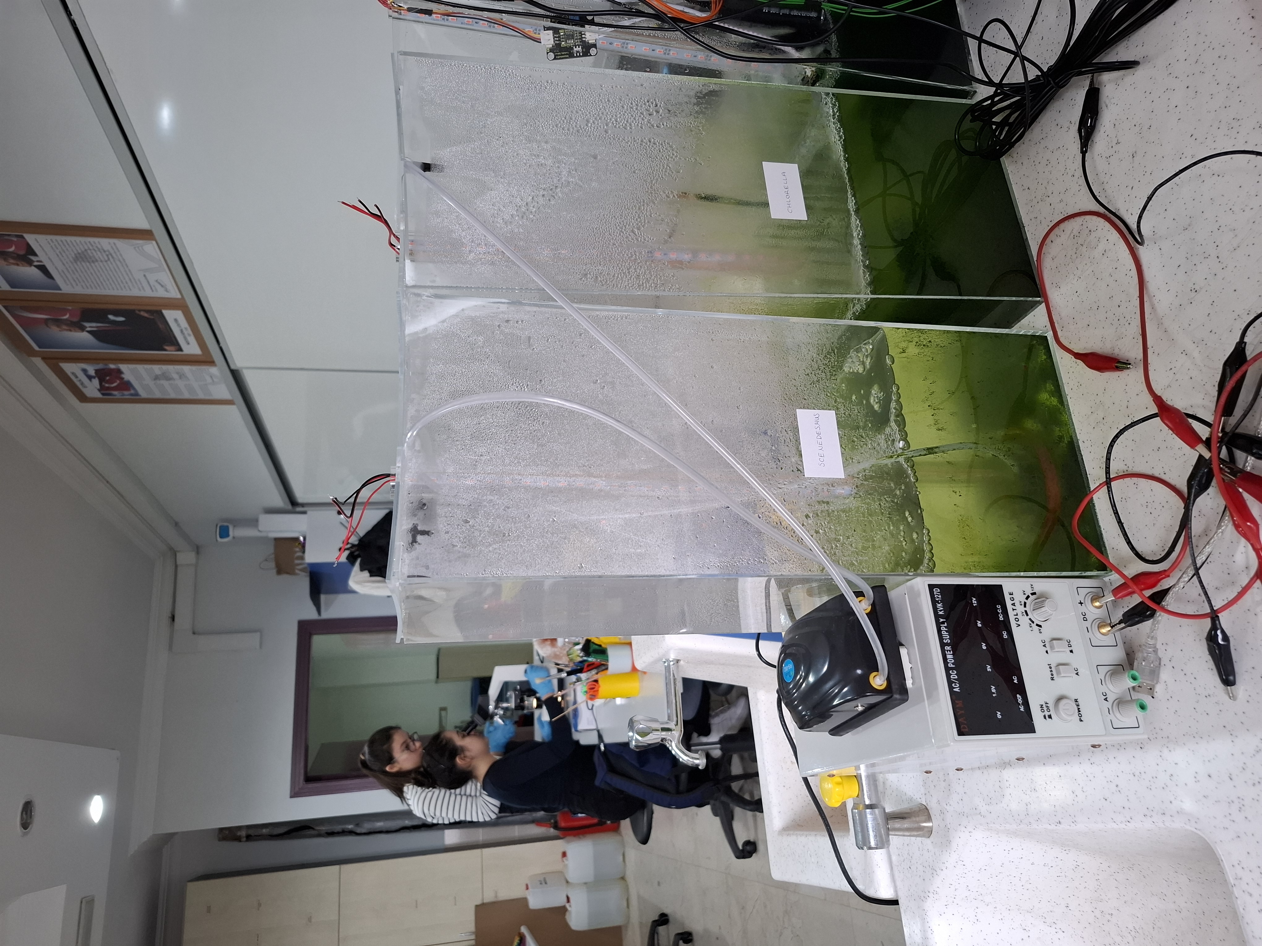 Microalgae reactor experiments in the laboratory